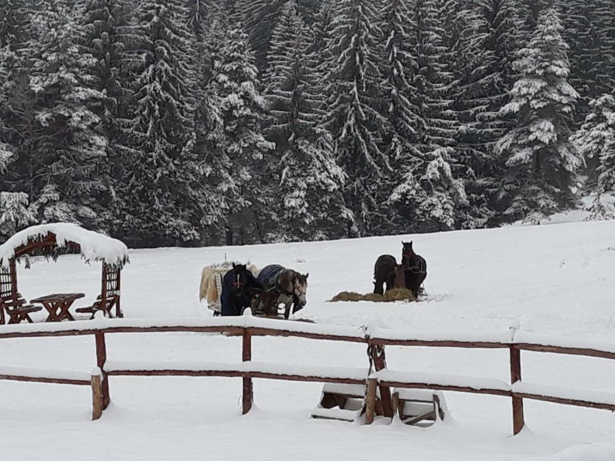 Luxury Mountain Apartment Poiana Brasov Esterno foto